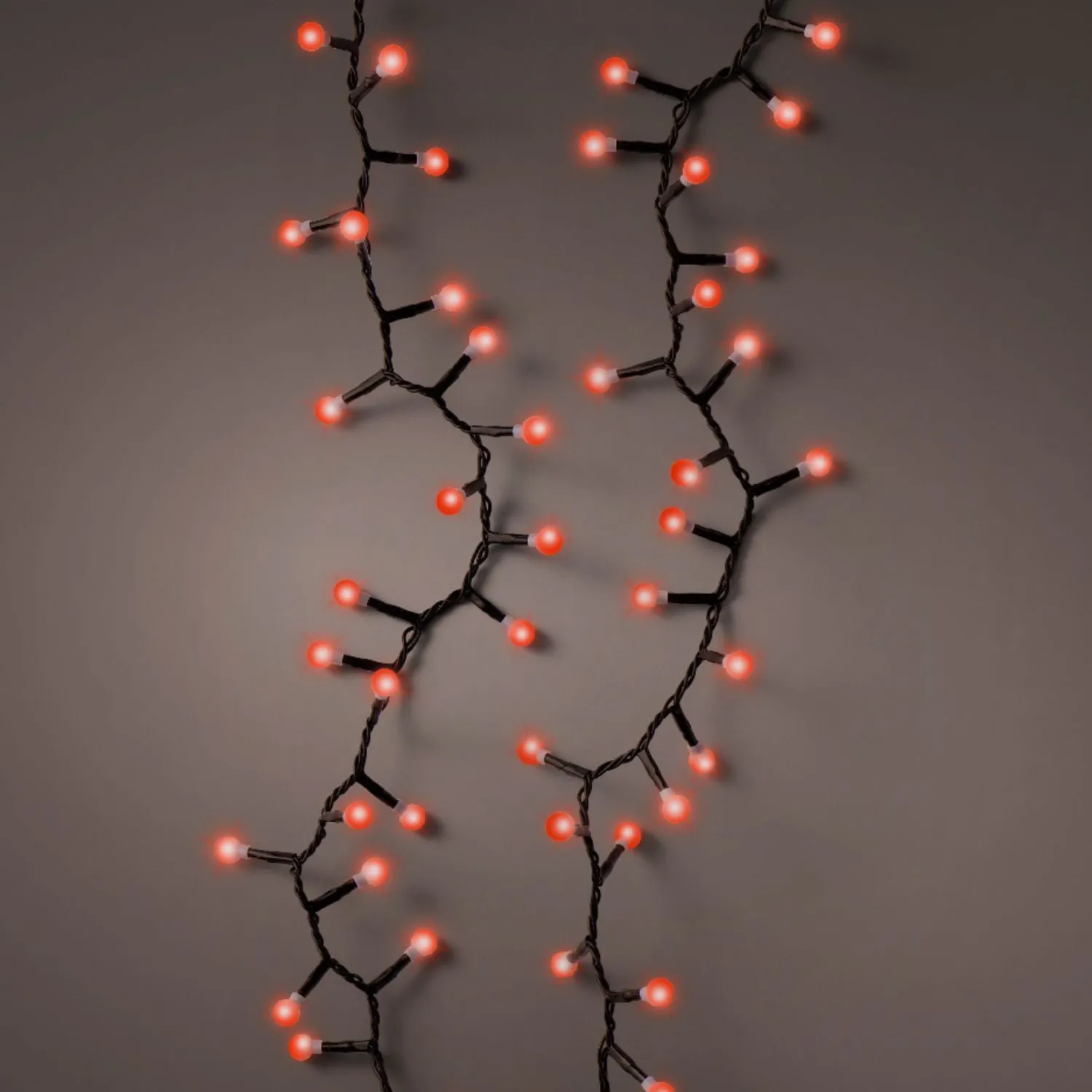 Lumineo 500 LED Red Twinkle Effect Outdoor LED Cherry Lights
