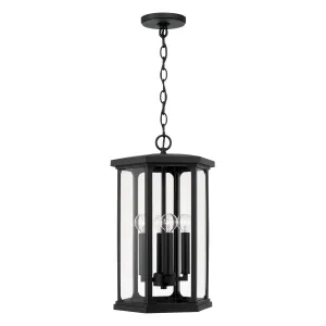 Walton 4-Light Outdoor Hanging Lantern in Black